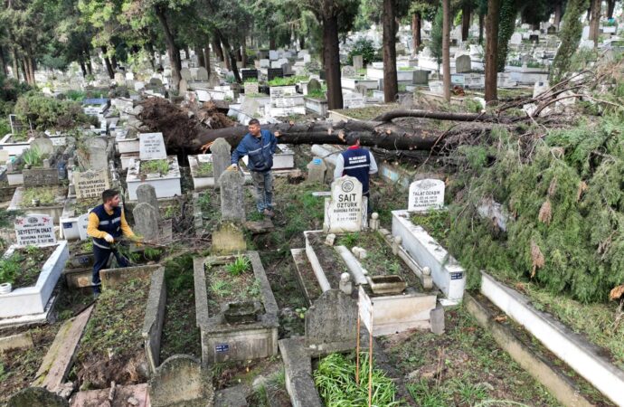 Zonguldak’ta yaşanan şiddetli fırtına sonucunda devrilen ağaçlar, 300 mezarın zarar görmesine neden oldu.