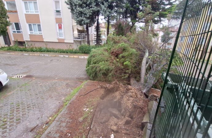 İzmit’te şiddetli yağmur ve fırtına etkisini gösterdi. Bu doğal afet sonucunda birçok ağaç ve elektrik direği devrildi.