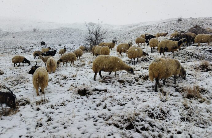 Hakkari’de kar yağışı devam ediyor. (4)