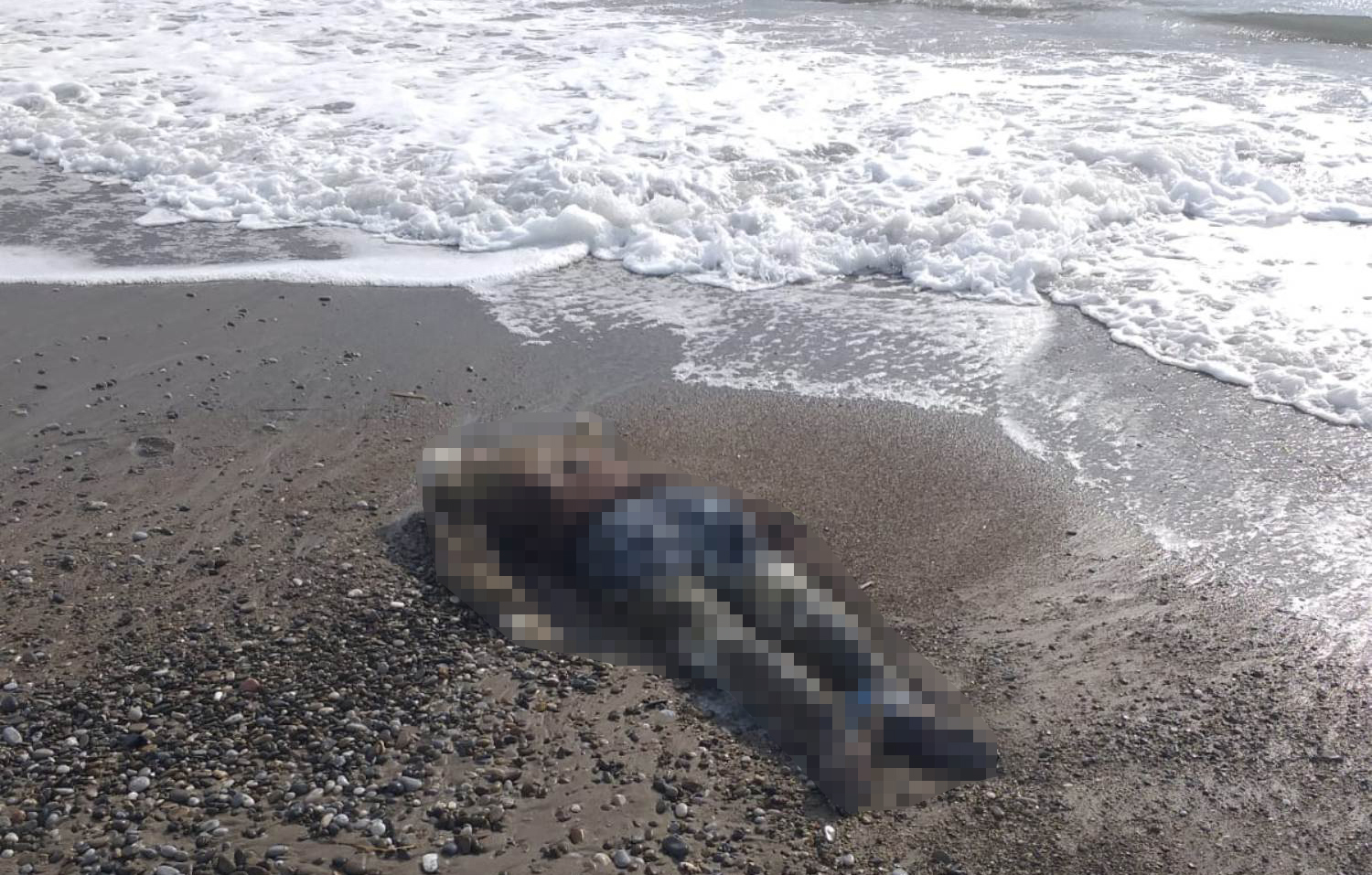 Manavgat ilçesinde farklı sahillerde bulunan 2 ceset, yetkililer tarafından tespit edildi.