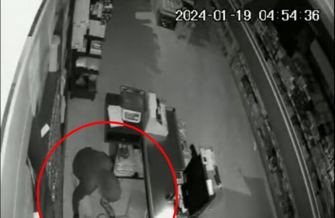 Mardin ilinde bir markette gerçekleşen hırsızlık olayı güvenlik kameraları tarafından kaydedildi.