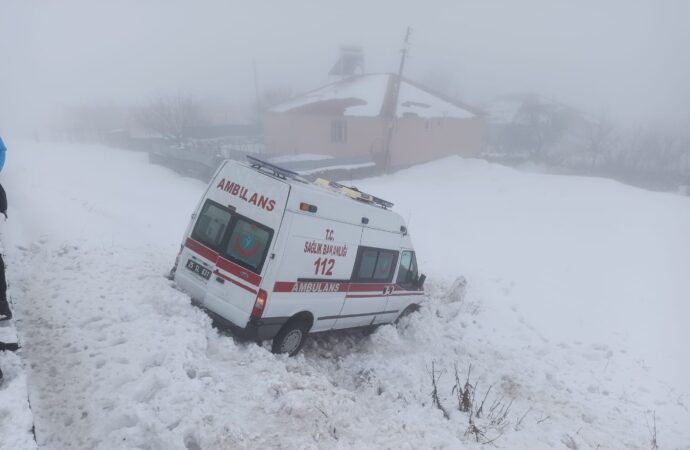 Bingöl ilinde meydana gelen olayda, bir ambulans şarampole düşerek 6 kişinin yaralanmasına sebep oldu.