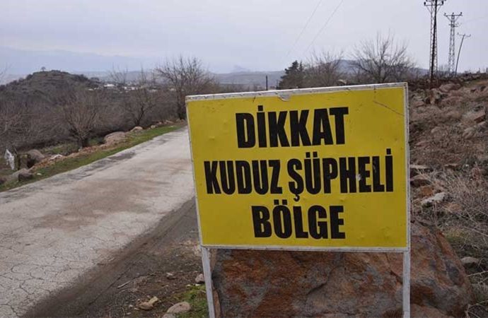 Urfa Siverek’te kuduz paniği